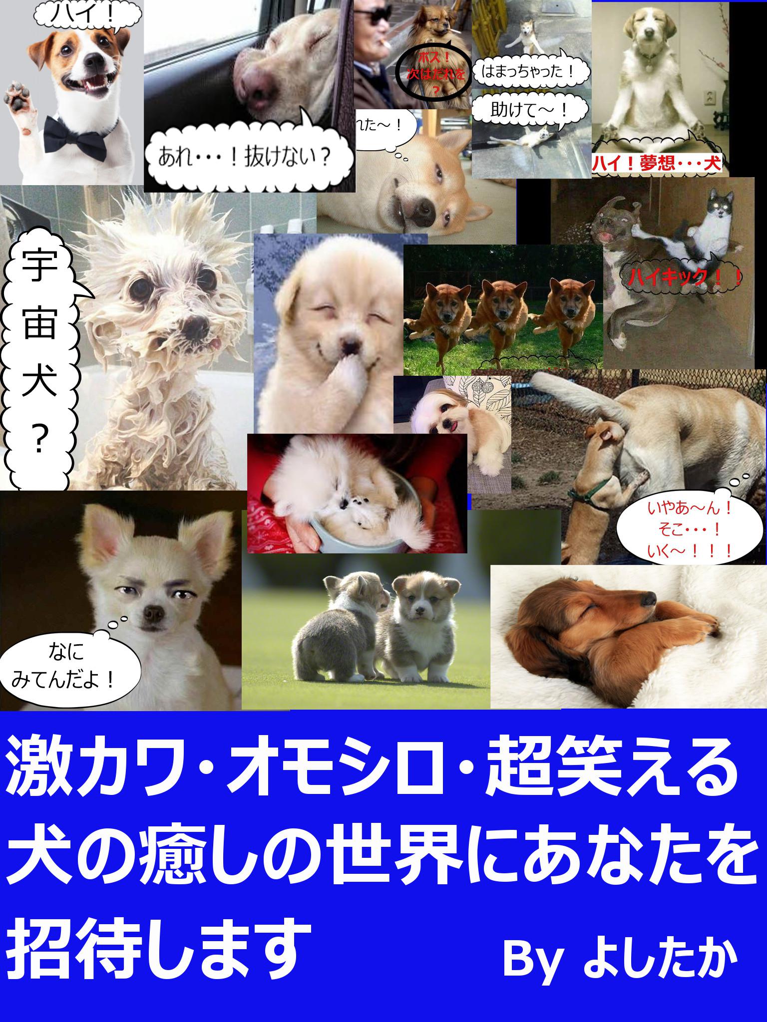 cover-image 2